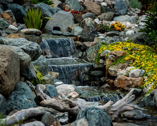 Pond, Pondless Waterfall, or Fountain? Choosing a Water Feature for Your Kamloops Yard