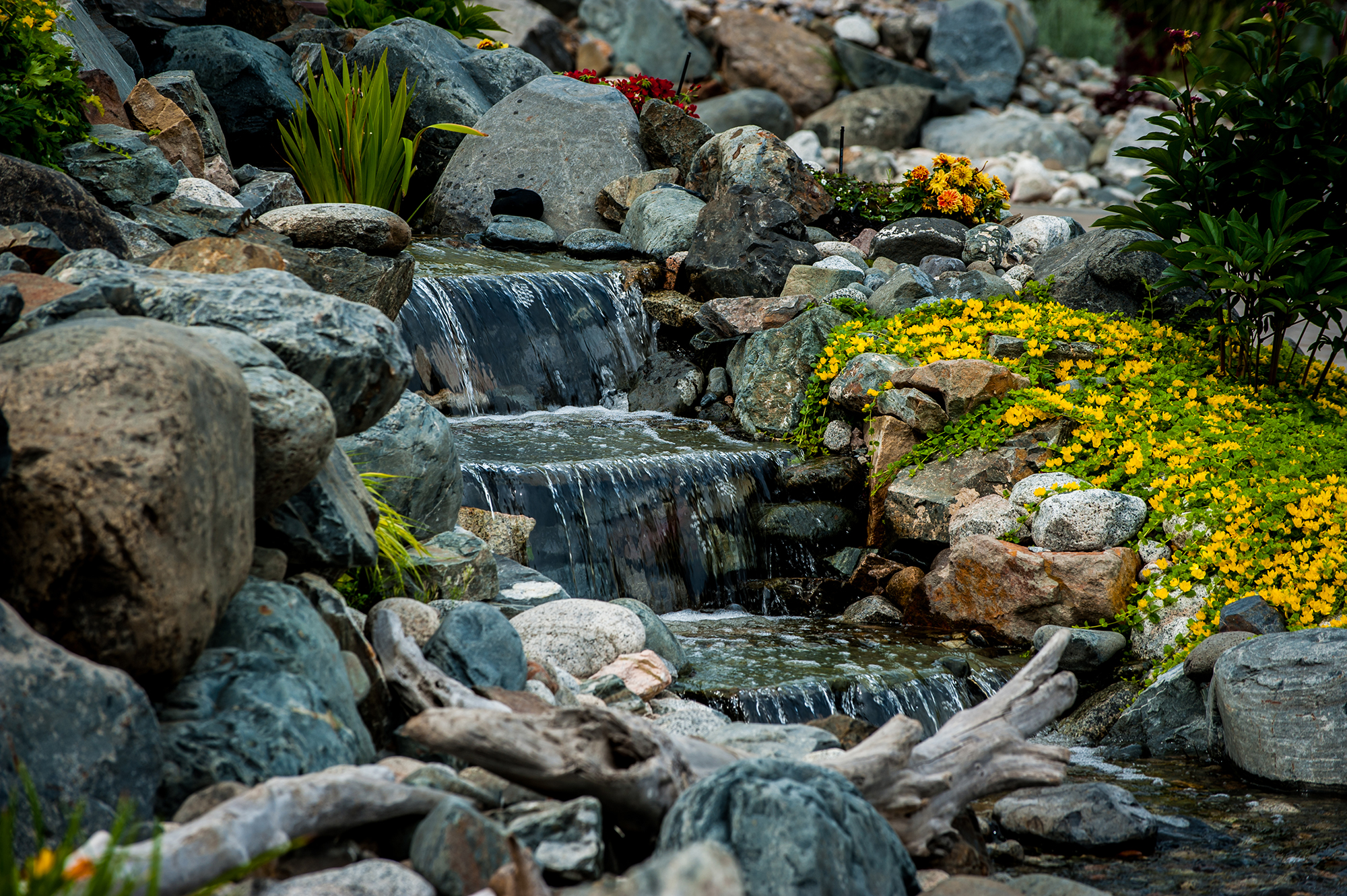 Pond, Pondless Waterfall, or Fountain? Choosing a Water Feature for Your Kamloops Yard