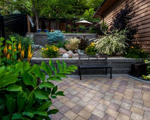 Landscaping in Kamloops: What to Expect When You Start a Project