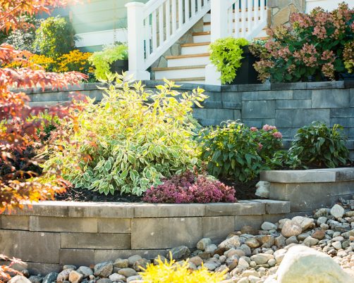 Xeriscape or Softscape? The Right Answer for Most Kamloops Yards Is Both